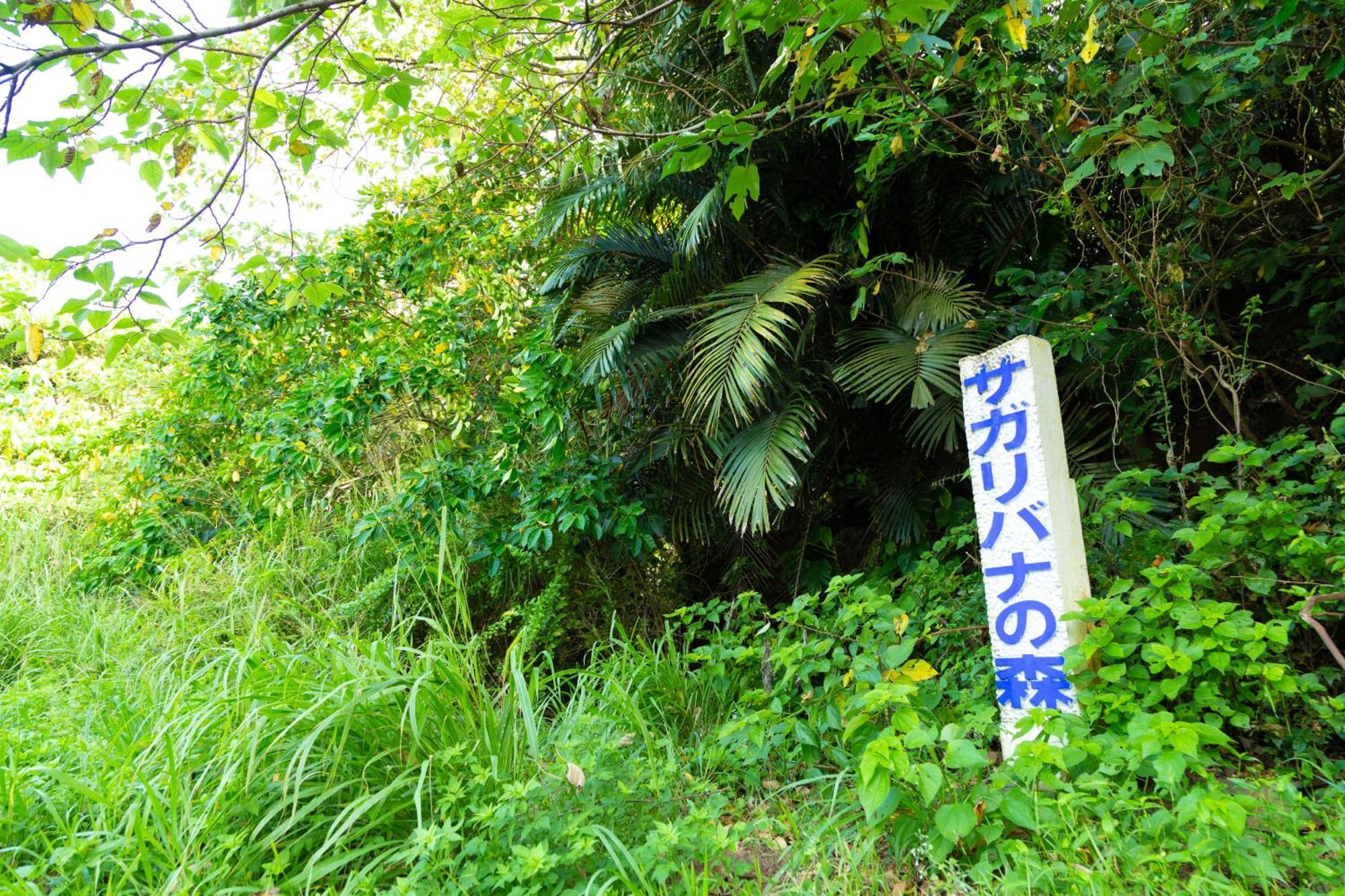 レジーナ石垣　ログテリアⅰ *