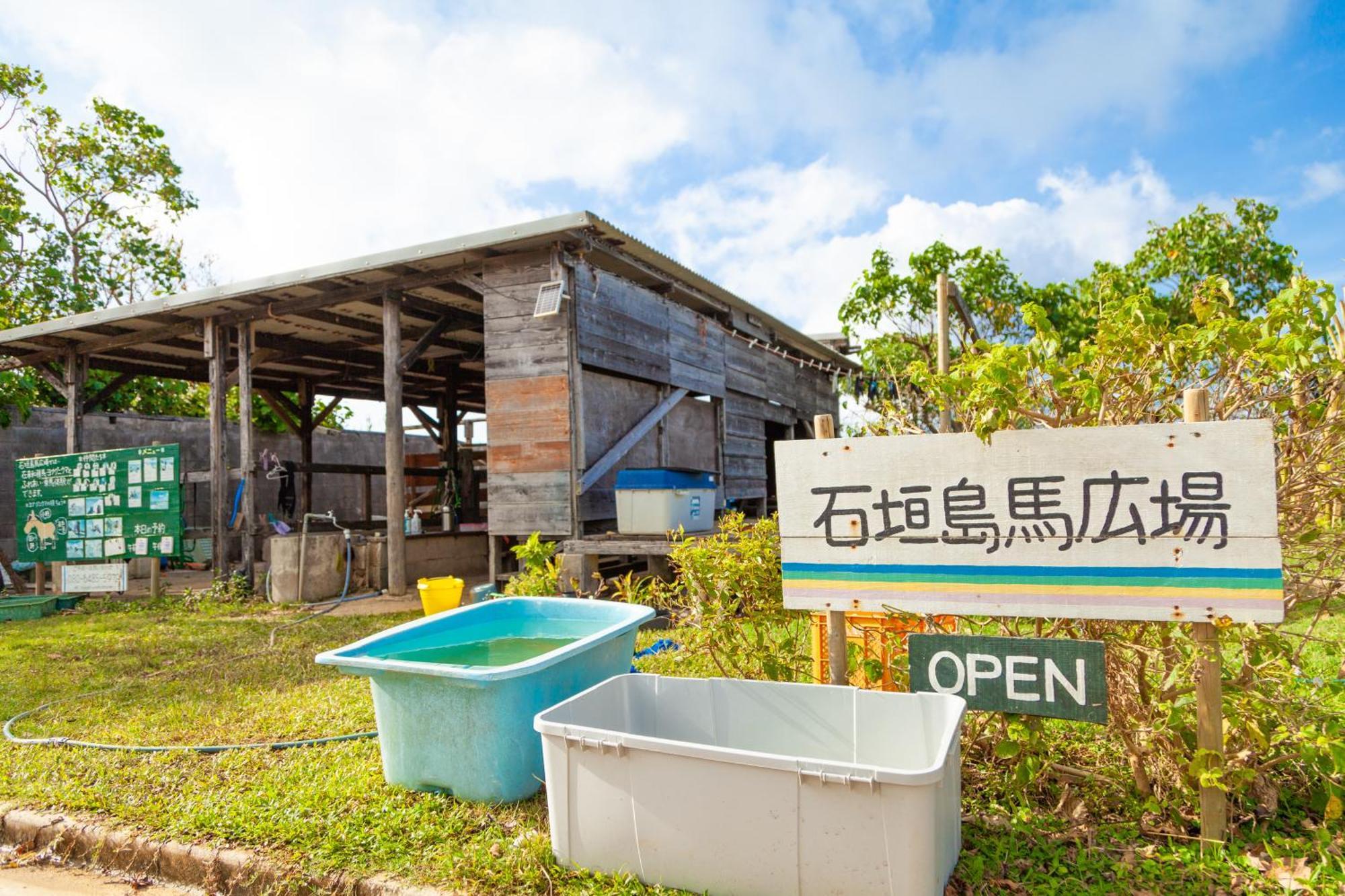 Ferienhaus レジーナ石垣　ログテリアⅰ *