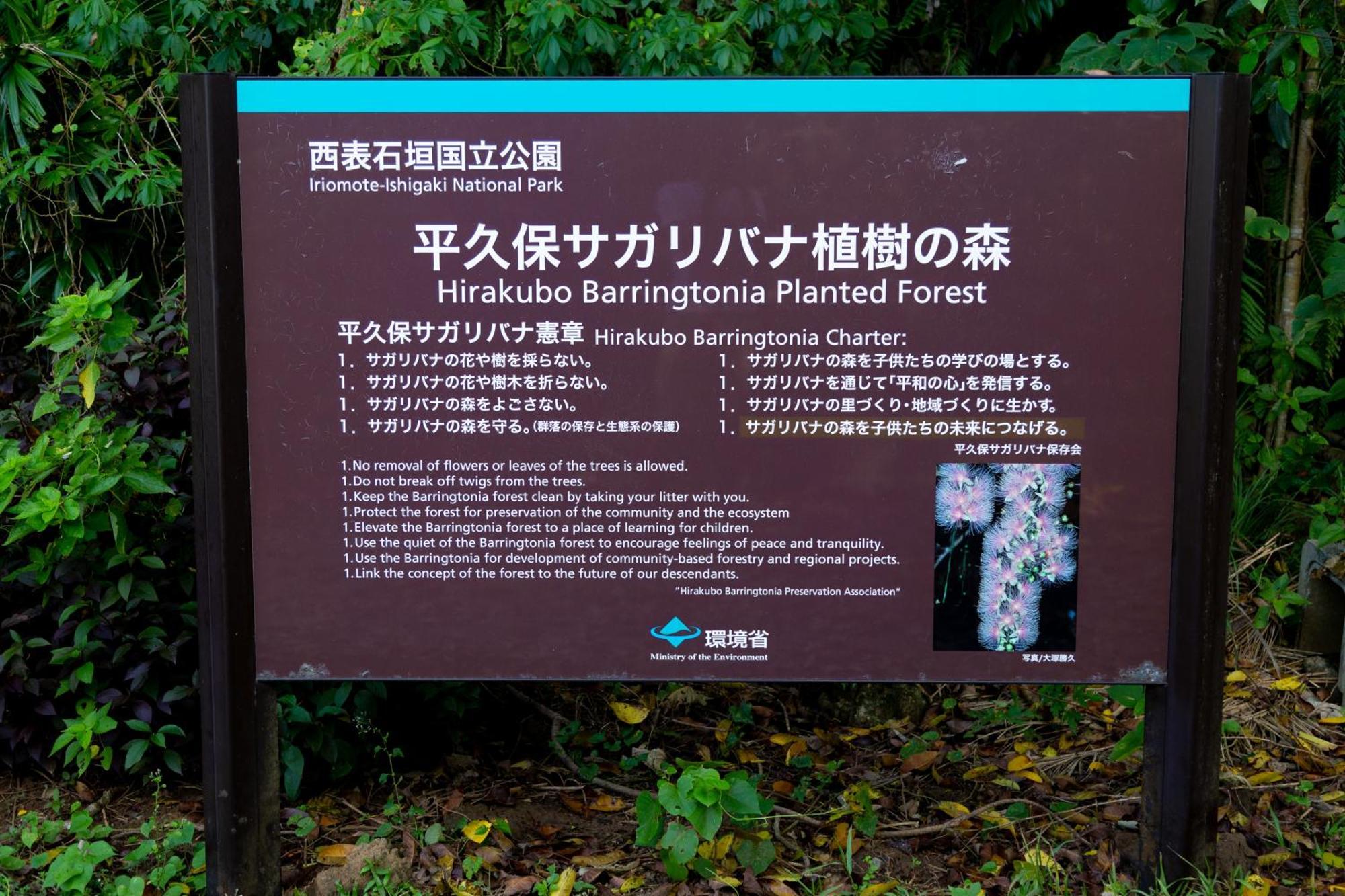 Ferienhaus レジーナ石垣　ログテリアⅰ *